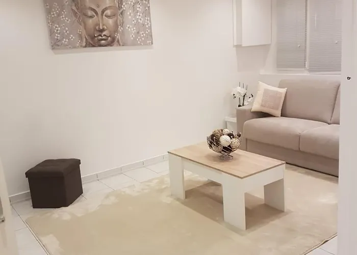 Luxurious Apartment Cannes City Center Five Minutes From Beach